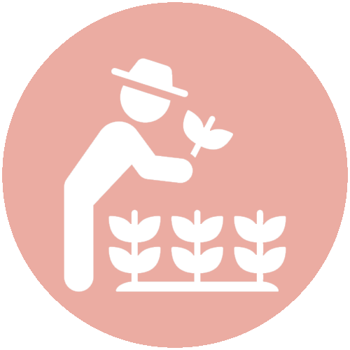 matieres-naturelles-preservees-chandam